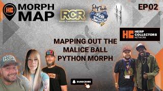 EP02 - Mapping Out the Malice Ball Python Morph