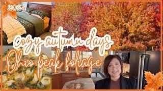 Cozy Autumn Days In The Life |  NEW Fall/Winter Bedding & Tuscan Soup 2024