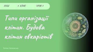 Типи організації клітин. Будова клітини евкаріотів