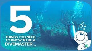 5 Things You Need To Know To Be A Divemaster…