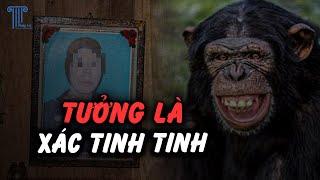 Cả làng rủ nhau NẤU CAO TỪ X.Á.C NGƯỜI tại Thanh Sơn, Phú Thọ | LẬT LẠI KỲ ÁN 59