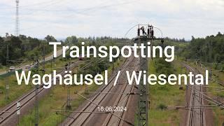 Trainspotting an der SFS Mannheim - Stuttgart