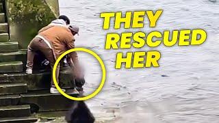 2 Muslim Tourists SAVED a Woman in London