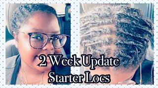 2 WEEK LOC UPDATE | STARTER LOCS | MY LOC JOURNEY