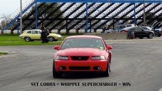 WHIPPLE SUPERCHARGER WHINE | SVT Cobra