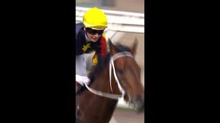 GOLDRUSH GURU wins the Penfolds Victoria Derby  #DerbyDay #MelbCupCarnival #SpringRacing