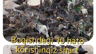 Indautka boqishdagi yutuqlar va xatolar bilishingiz shart +99833.781.04.14