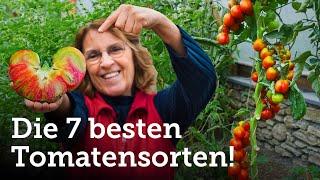 Tomatenliebe: Entdecke meine Top 7 Sorten! 