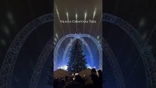 Vilnius Christmas Tree  