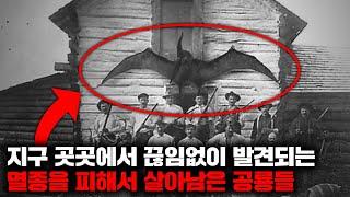 지구 곳곳에서 끊임없이 발견되는 멸종을 피해서 살아남은 공룡들 | 5월의 몰아보기