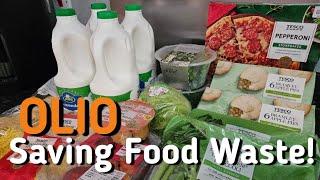 Olio Collection  Free Food  Saving Food Waste 