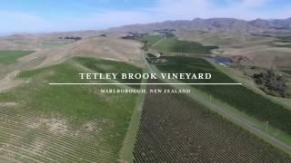 Babich Wines - Marlborough Vineyards