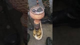 Branded Foji with Desi Hukka  Zabardast Combo|| Haryana ke shaan with foji