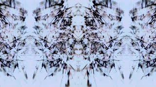 1 Hour Visual In Full HD / nr.264 / Minimal VJ Background Video Graphics