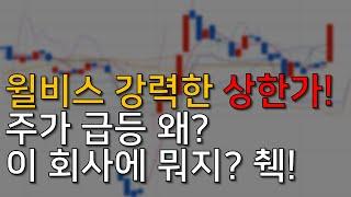 윌비스 주가, 지금 사도 될까? 회사 내용 심층 분석!