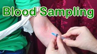 How to Take Blood Sample from a Vein | Blood Sampling | Venous Blood | Venipuncture | Phlebotomy