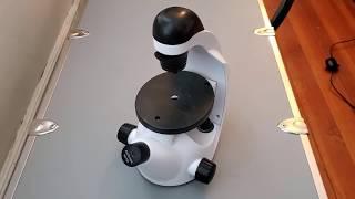 Essential Biochem Lab Equipment: Inverted Microscope