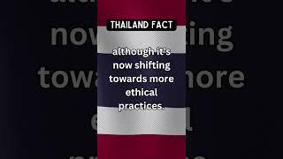 Thailand's Ethical Elephant Shift  - Shorts #Elephants #EthicalPractices #ThailandFacts