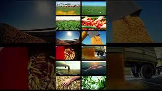 Advancements in US Agricultural Technology | SGK English