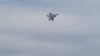 Freewing 80mm F-22 Raptor stolen! Missed the landing though