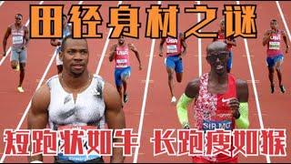 田徑運動員的身材到底有多好？蘇炳添翹臀火出圈，布雷克人形坦克
