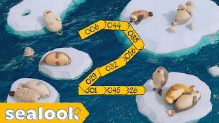 [NEW] Sneak Peek into SEALOOK Land : 2nd Anniversary COMING SOON | SEALOOK | EP.123