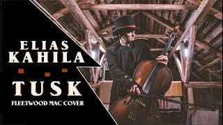 Elias Kahila - Tusk (Fleetwood Mac Live-Loop Cover)