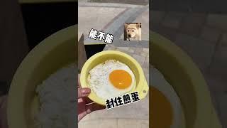 #手工 DIY不会变质的煎蛋