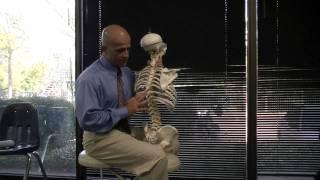 Rotation & Lateral Bending of the Lumbar AND Thoracics SEATED