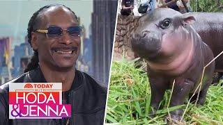 Snoop Dogg on Moo Deng: 'That is a pretty hippopotamus'