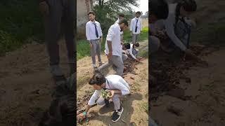 Field Work in Chandigarh College Punjab #shorts