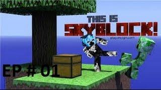 Pika Network Skyblock Season #2 Episode #1