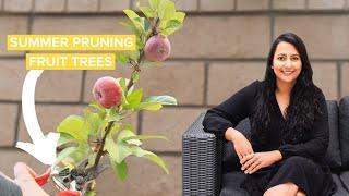 Here’s Why I Summer Pruned My Apple Tree And Why You Should Too!