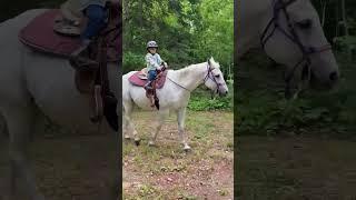Horse time ️ #horses #horselove #cowgirl #horsetherapy