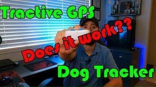 Tractive GPS Dog Tracker