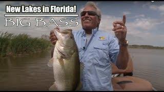 New Big Bass Lakes in Florida - Lakewood Ranch