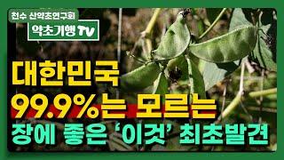 대한민국 99.9%는 모르는 장에 좋은 '이것' 최초발견