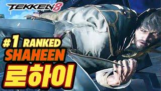 TEKKEN 8  SHAHEEN : 로하이(LowHigh)