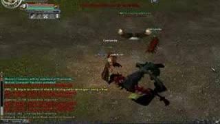 Hero online divine pets skills