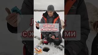 Интересный лайфхак при ловле на жерлицы #зимняярыбалка #рыбалка #рыбалкавидео #fishing #рыбалказимой