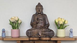 Monk Chat with Empty Cloud Monastics