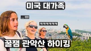 My American Family Hikes My Neighborhood Mountain in Seoul!