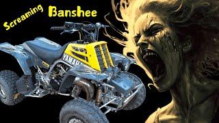 Banshee Build: First Start First Ride!