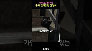 계단에서 만난 깜냥이