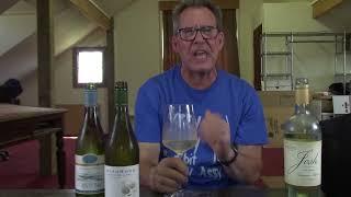 The most popular Sauvignon Blancs under twenty bucks: Episode 686