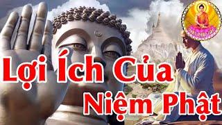 Lợi Ích Của Người Niệm Phật Giúp Cuộc Sống Hết Khổ Đau Hạnh Phúc Sẽ Đến - Phật Pháp Tâm