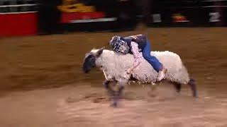 Mutton Bustin' highlights | San Antonio Rodeo | Feb. 10, 2022