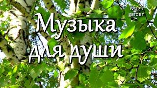 Музыка для медитации /релаксации. Музыка для души. Сергей Аверьянов - Березкам