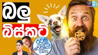 Siyatha FM MORNING SHOW 2024 10 31 |  බලු බිස්කට්