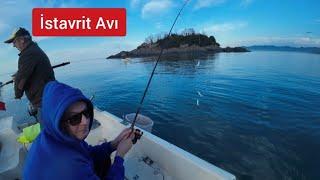 İstavrit o kadar çok ki  kovalar doldu !!! İstavrit Avı Giresun!!!! #istavrit #balık #fishing